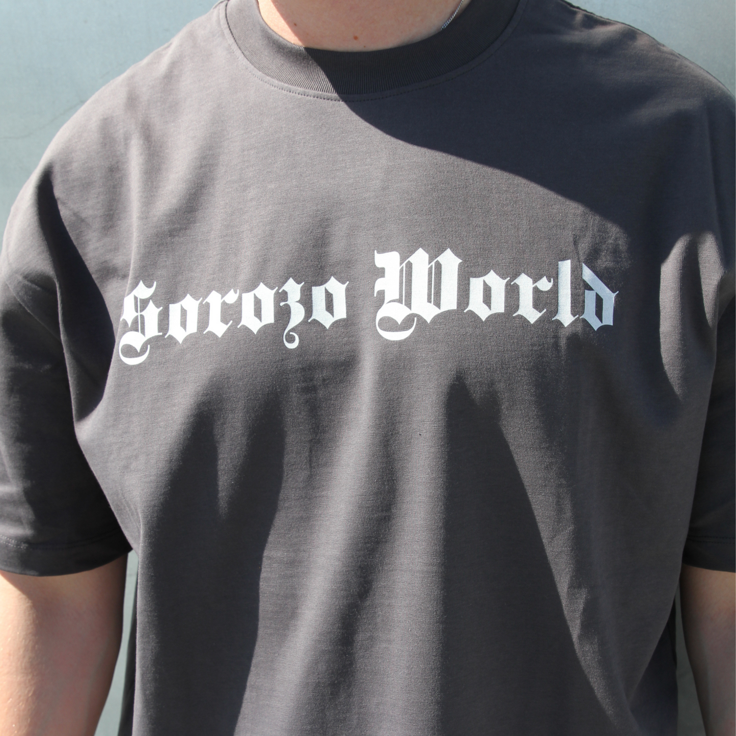 SW LOGO TEE