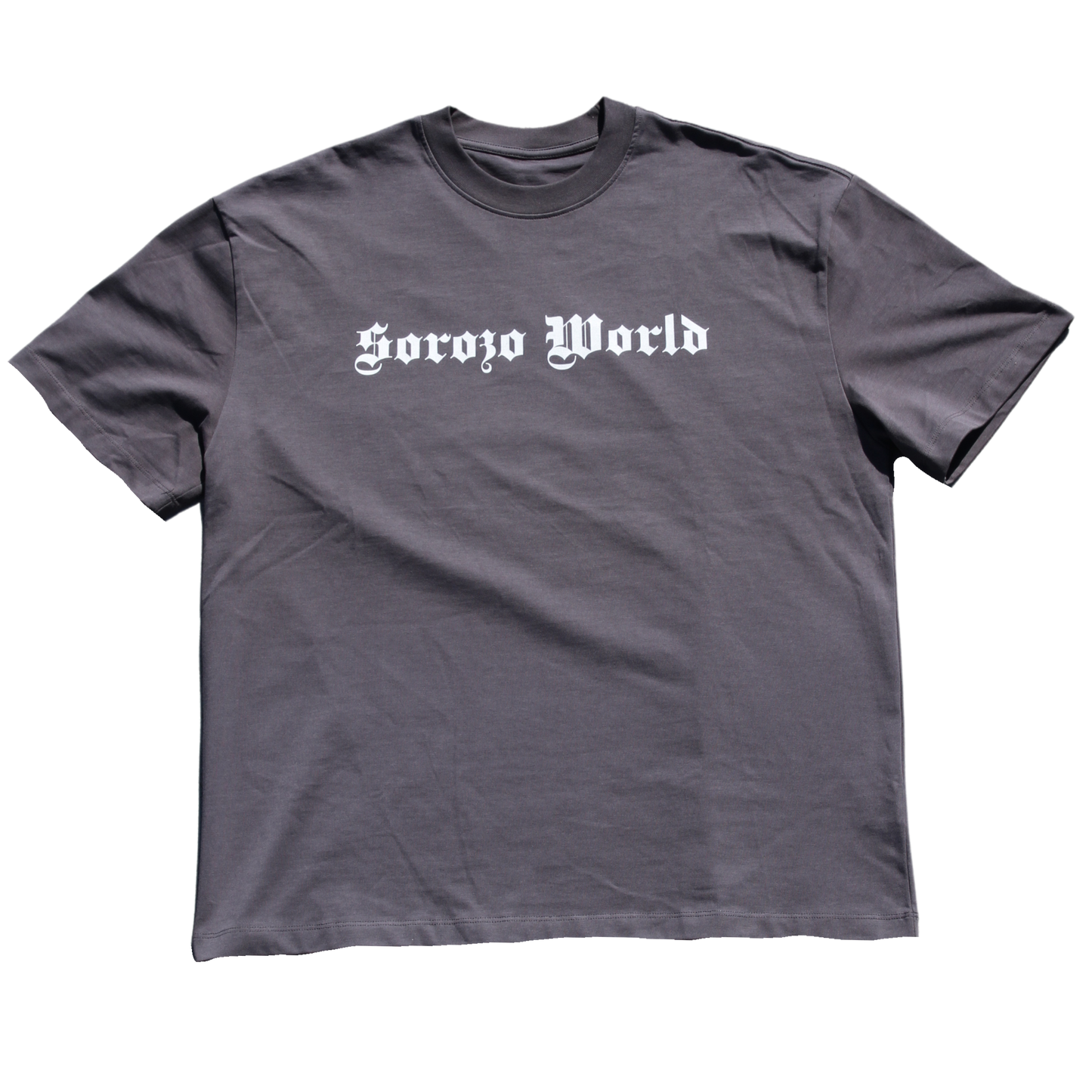 SW LOGO TEE